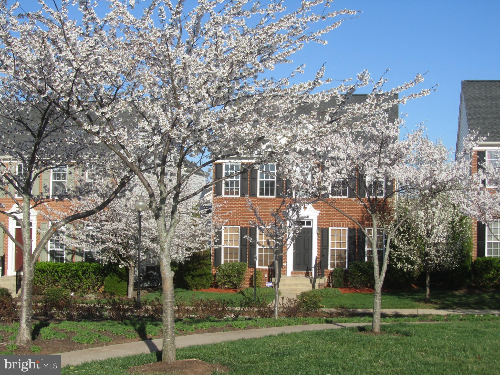 PIEDMONT SOUTH - Residential