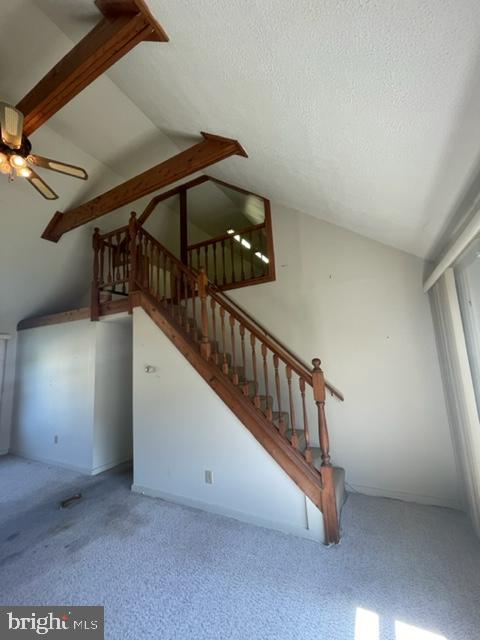 NONE AVAILABLE - Commercial Sale