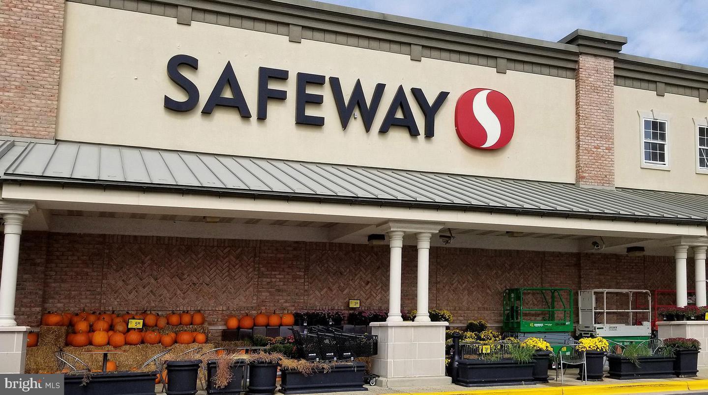 VILLAGE AT WAUGH CHAPEL - Residential