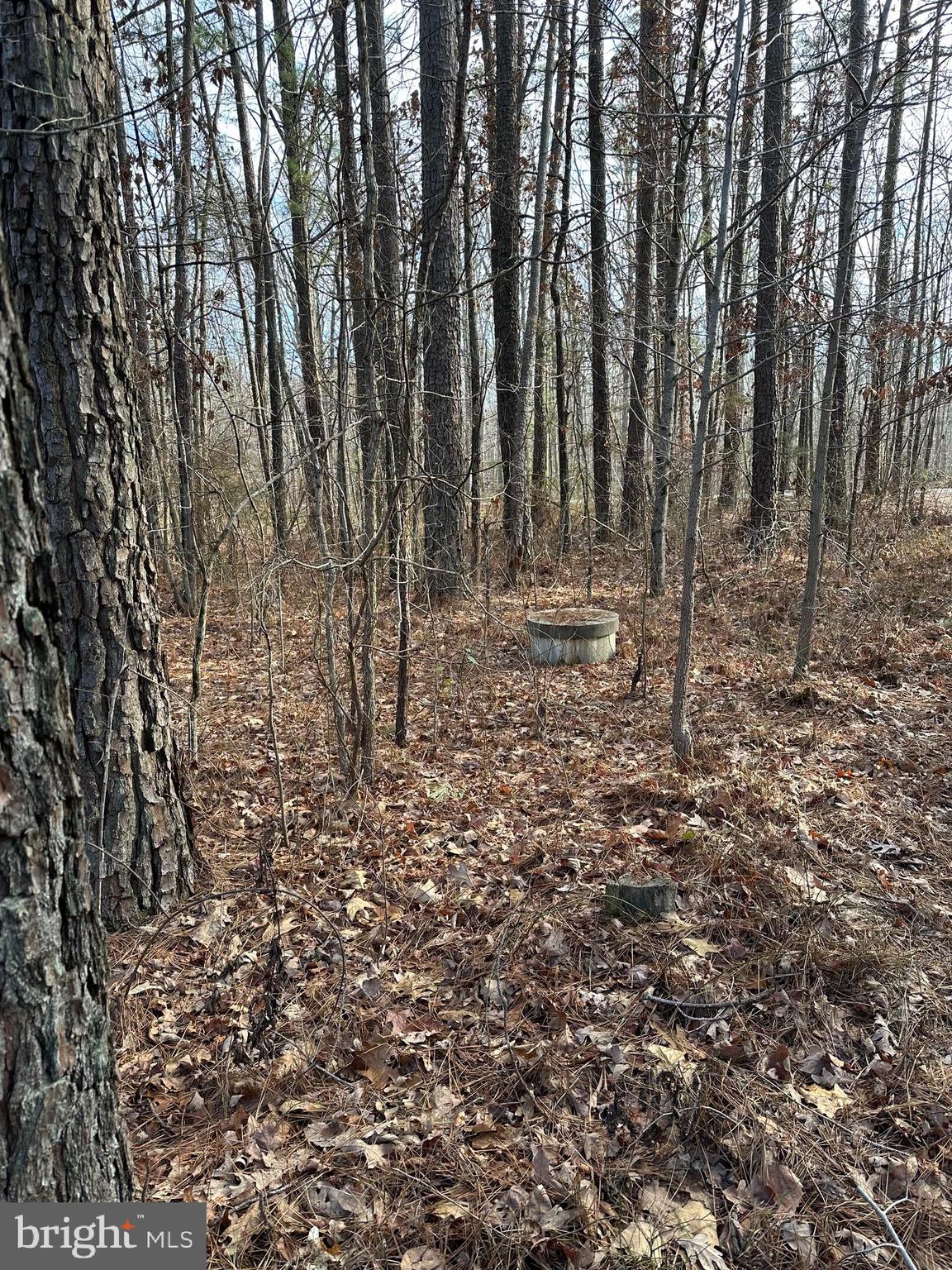 EDGEWOOD FARM - Residential