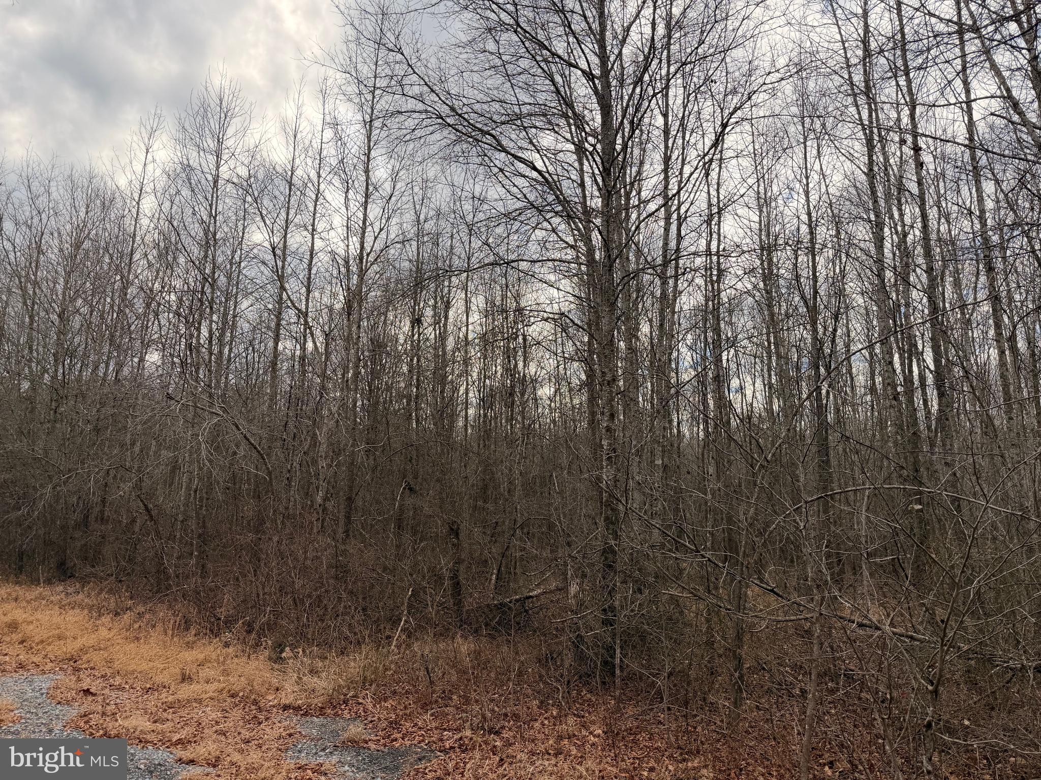 NONE AVAILABLE - Land