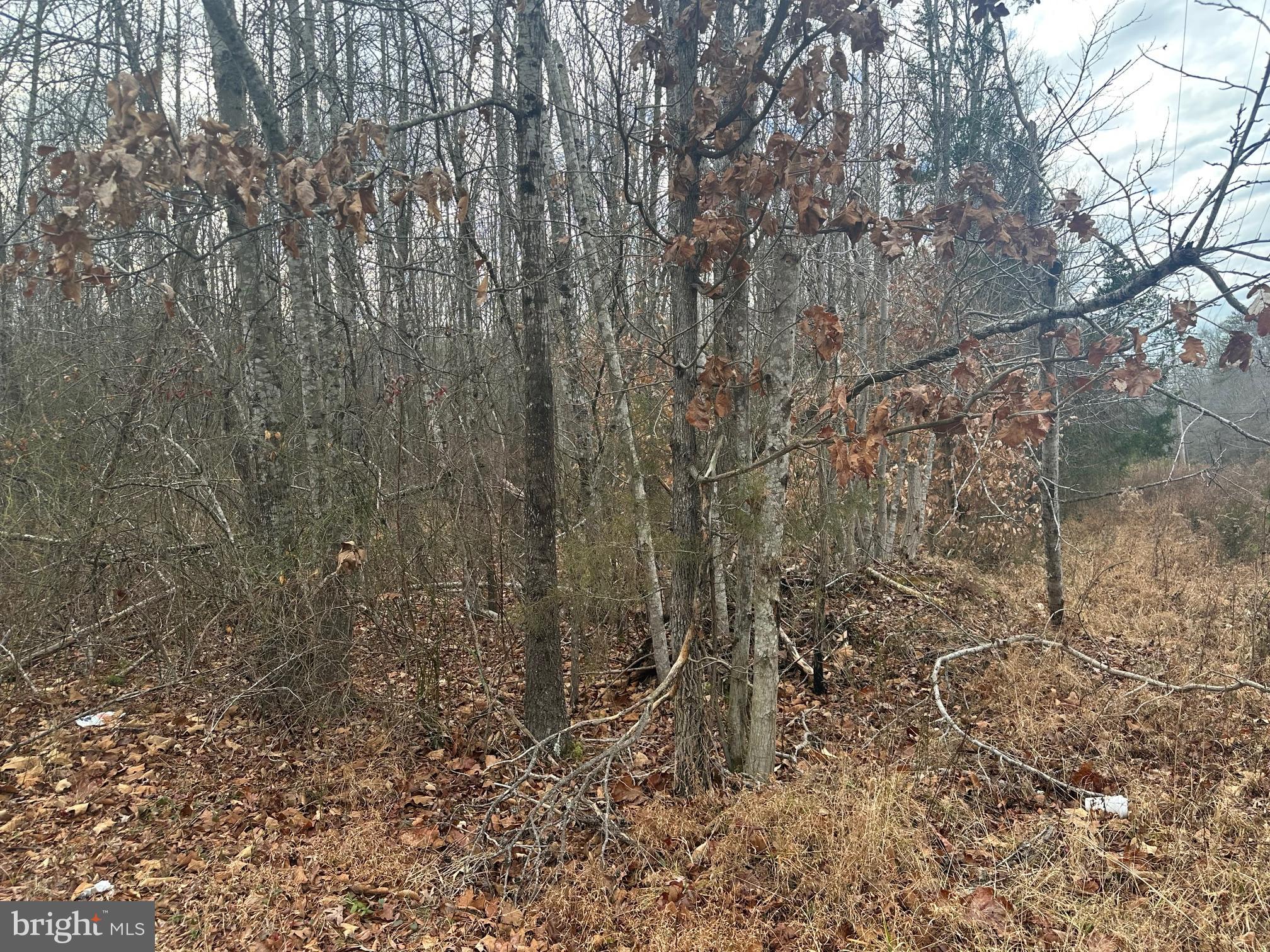 NONE AVAILABLE - Land