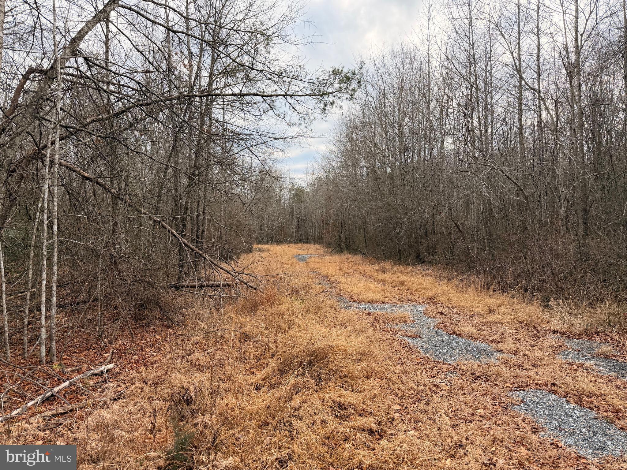 NONE AVAILABLE - Land