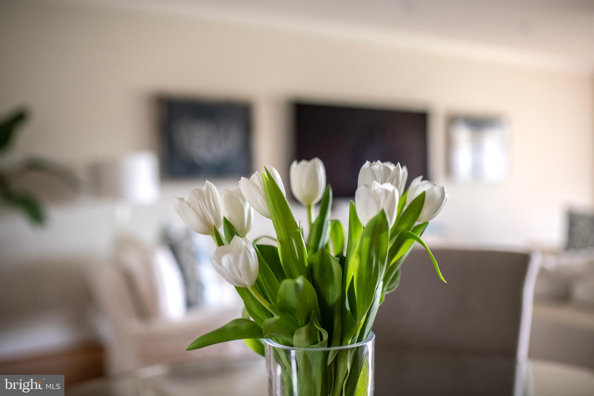 CHESAPEAKE HARBOUR - Residential