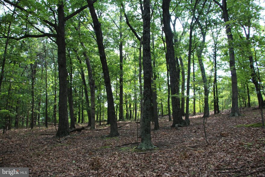 Enjoy rural living and fun on this building lot in the Dawn Heights community. This prime building lot is located off of Adams Road in the Cross Junction area of the county. This parcel has an expired septic permit for a 3 bedroom home on record with the county health department. Access is secured via extensive road frontage on Adams Road and Dawn Heights Trail. Electricity and other utilities are nearby making for cost effective hookups. This land is zoned RA and the topography is builder friendly. Ideal location to build a permanent residence or vacation rental. Gorgeous views of the surrounding countryside are available from the upper elevations of this tract with some tree clearing. Deer and turkey frequent the area along with small game species. Enjoy hiking, camping, and recreation of all types on this land. Access to all the amenities and entertainment Winchester has to offer are just a short drive away.