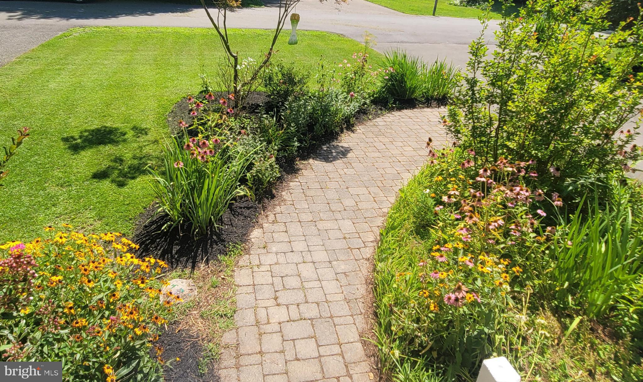 DRUM POINT - Residential