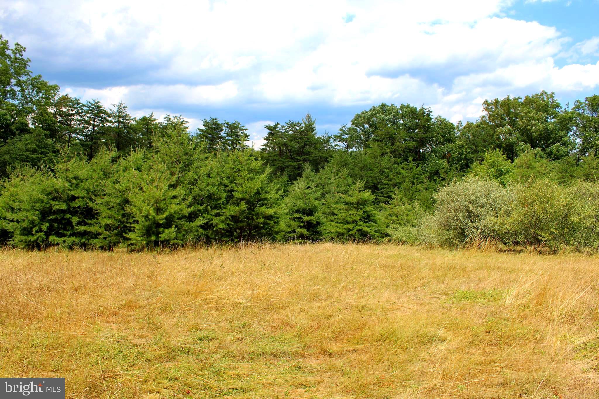 MEDALLION ESTATES - Land