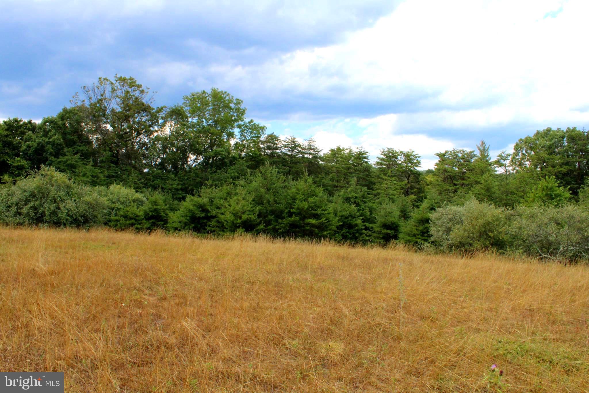 MEDALLION ESTATES - Land