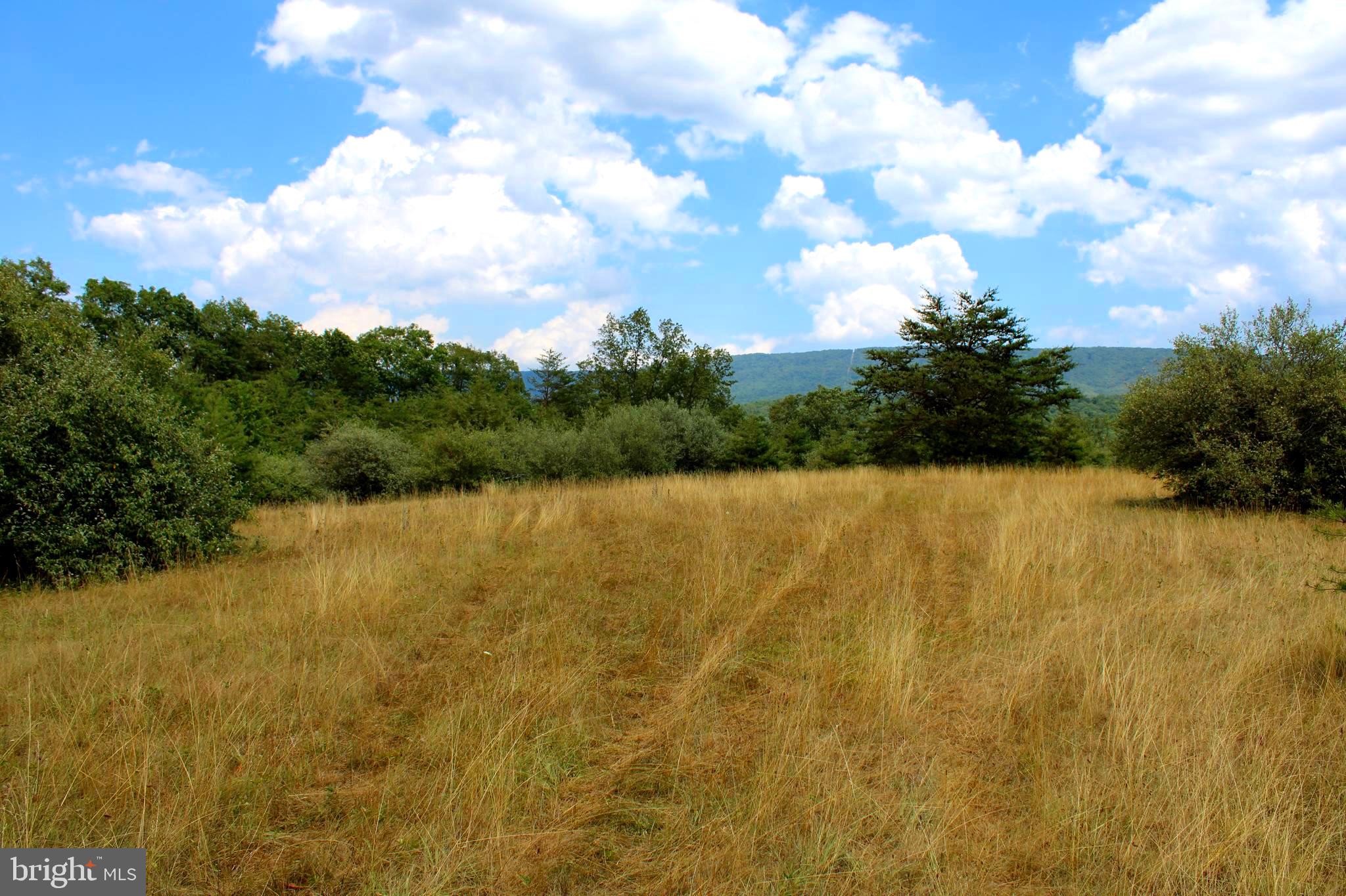 MEDALLION ESTATES - Land