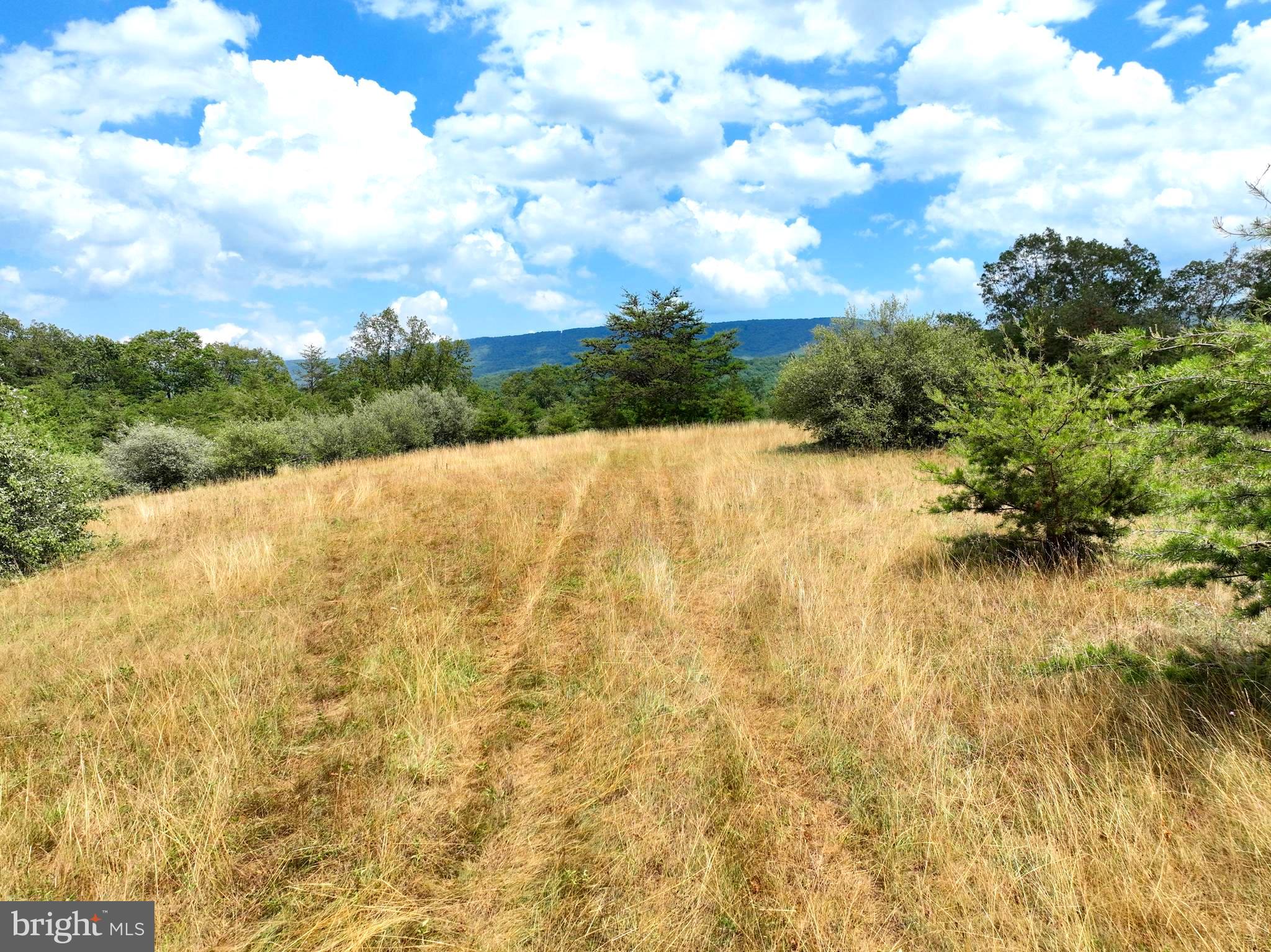 MEDALLION ESTATES - Land