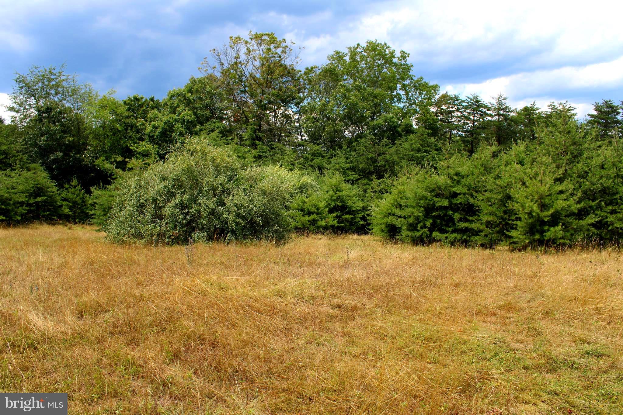 MEDALLION ESTATES - Land