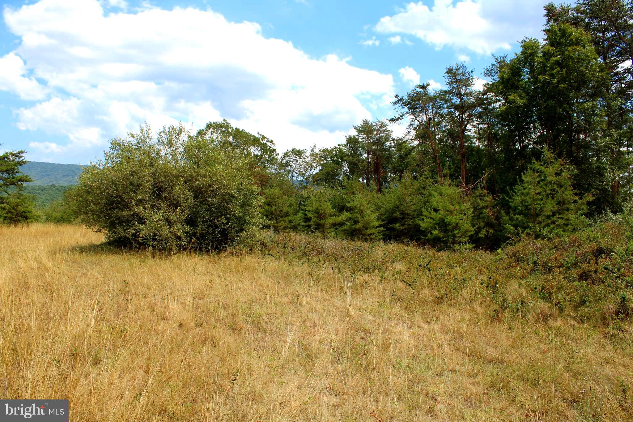 MEDALLION ESTATES - Land