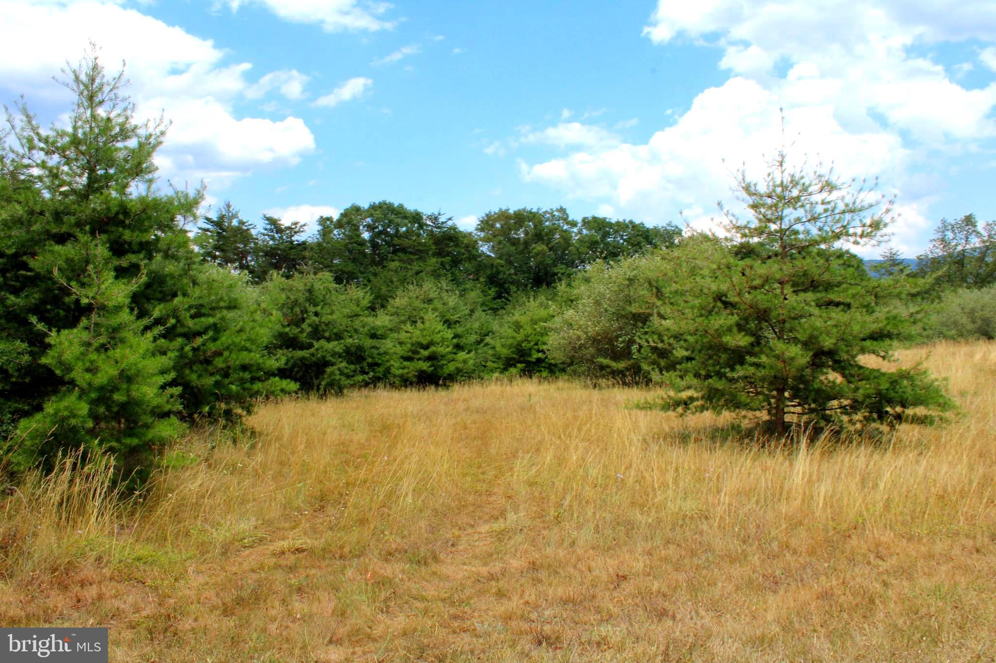 MEDALLION ESTATES - Land