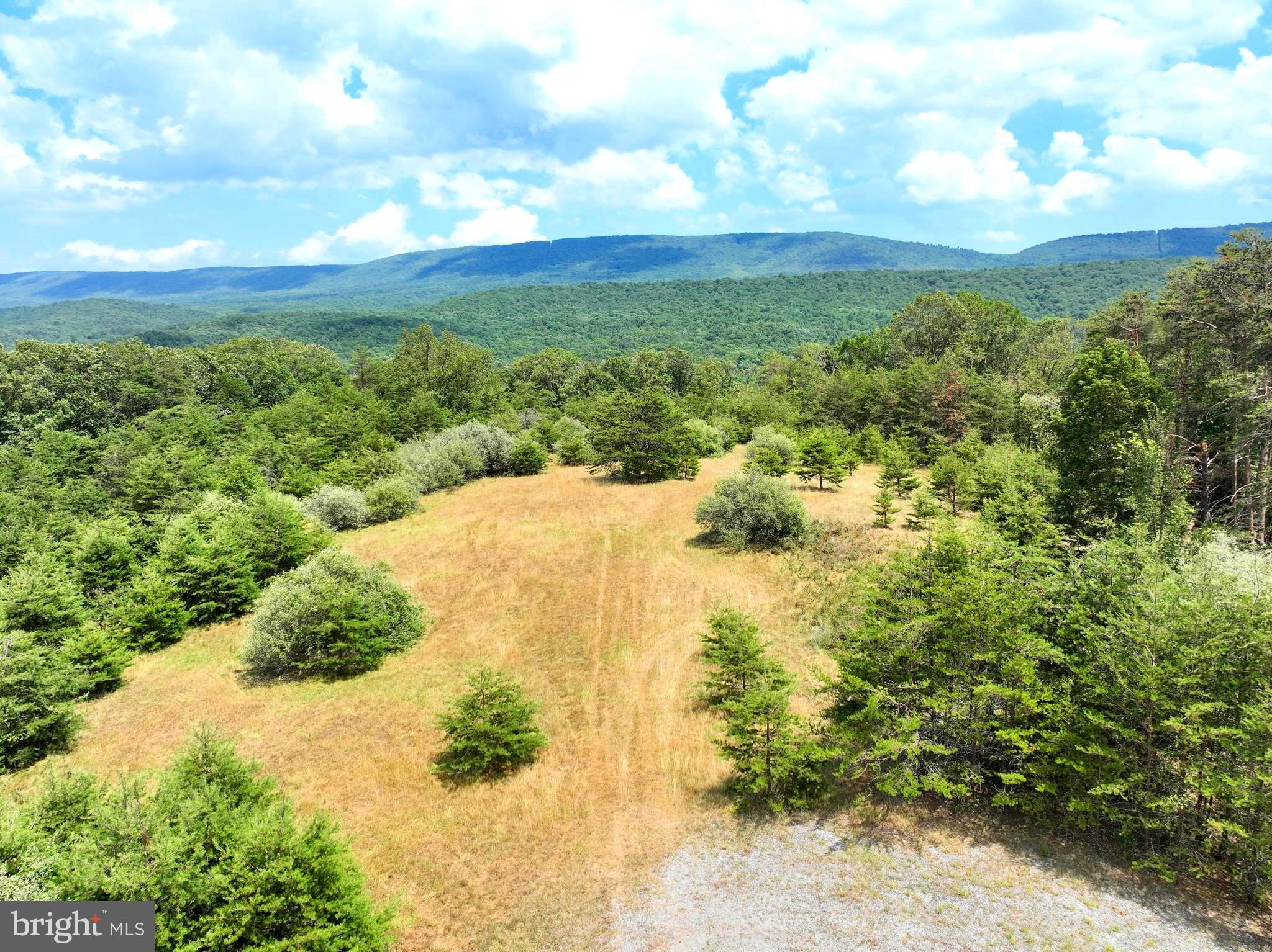 MEDALLION ESTATES - Land