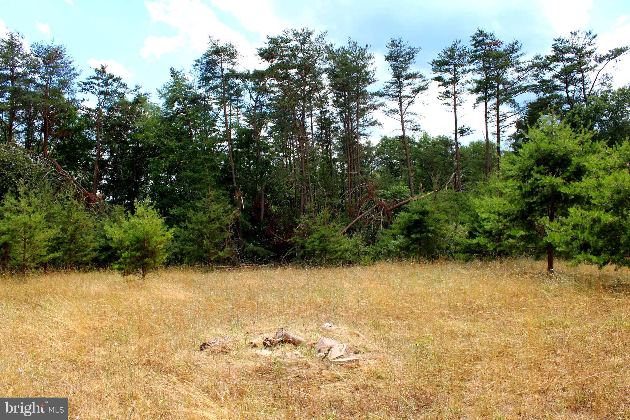 MEDALLION ESTATES - Land