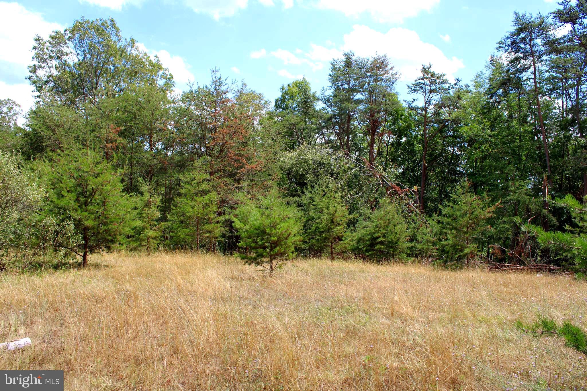 MEDALLION ESTATES - Land