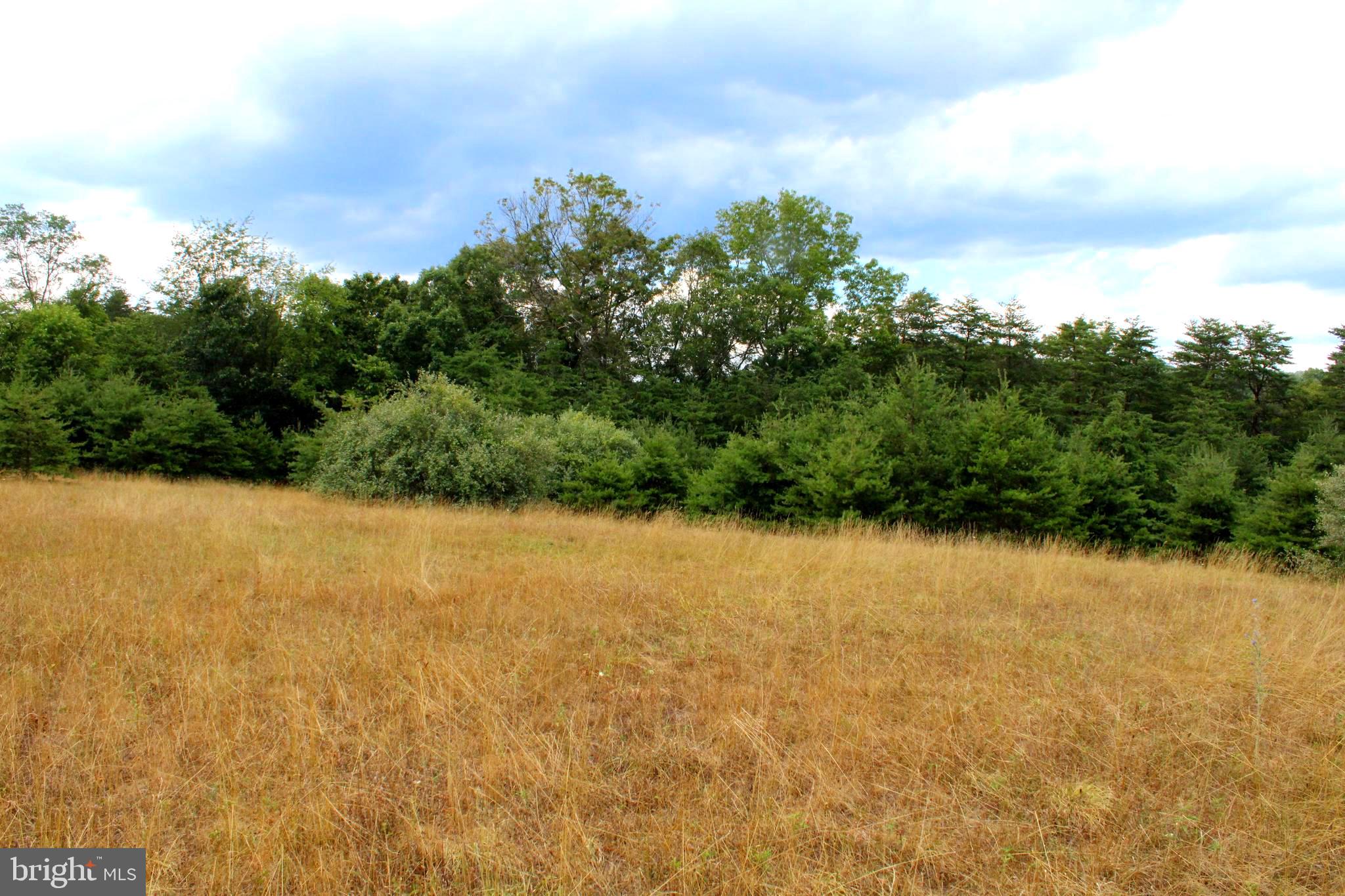 MEDALLION ESTATES - Land