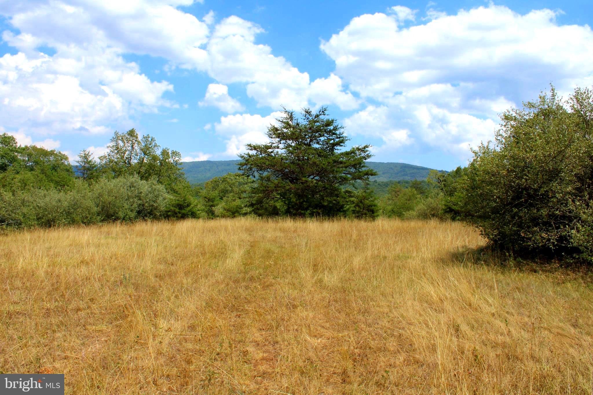 MEDALLION ESTATES - Land