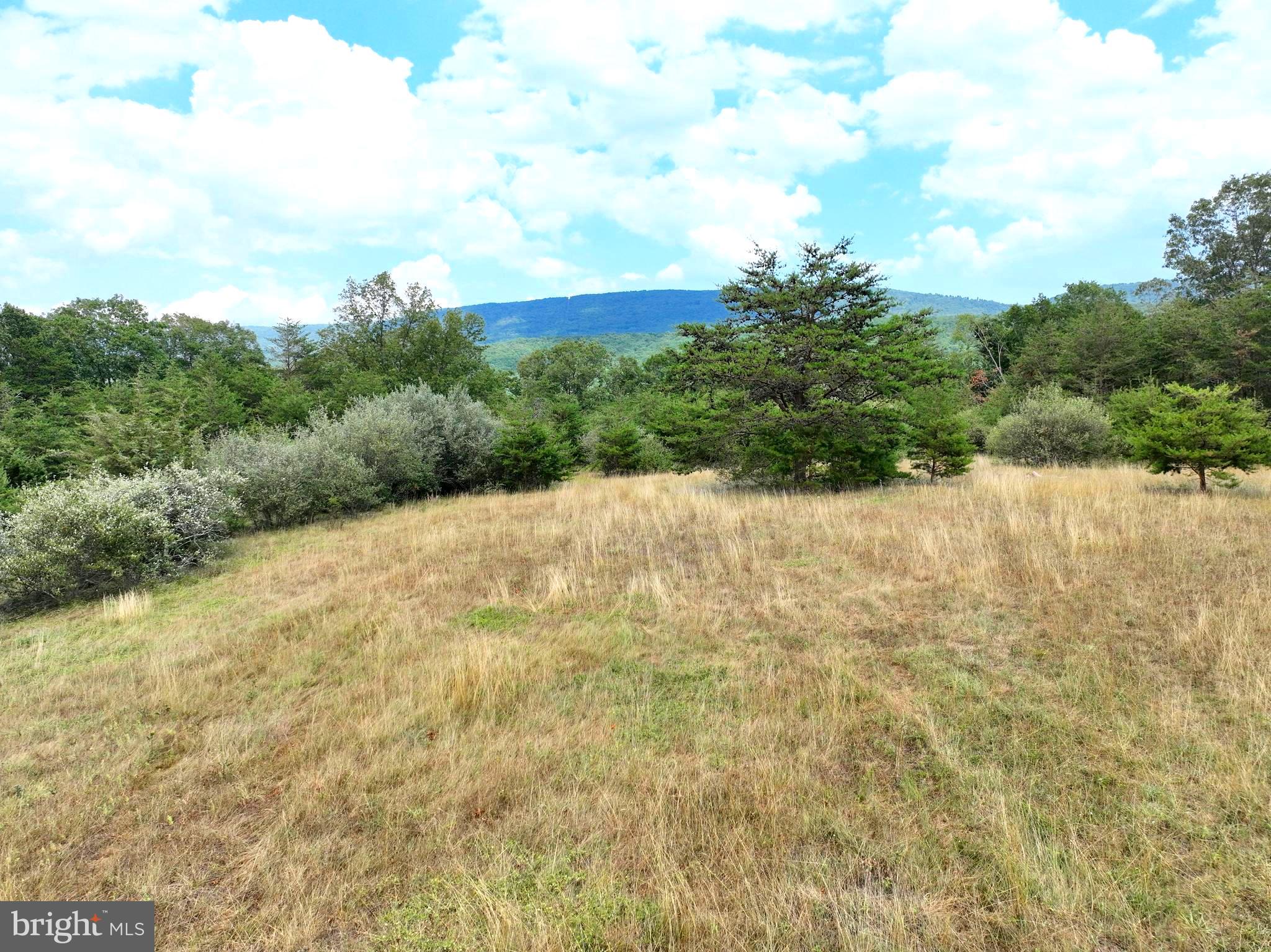 MEDALLION ESTATES - Land