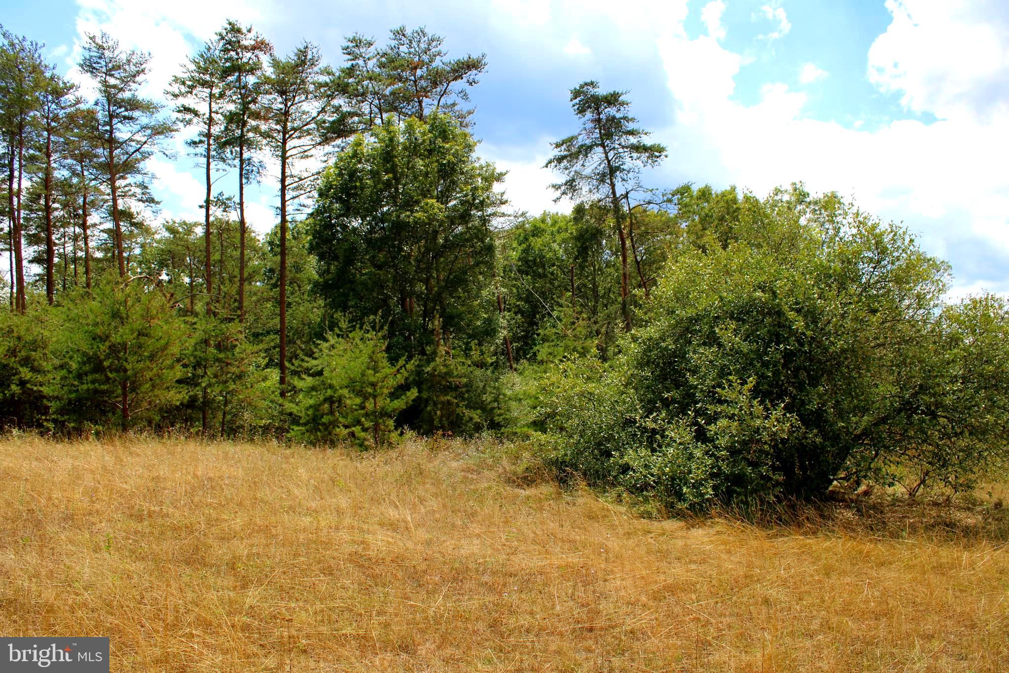 MEDALLION ESTATES - Land