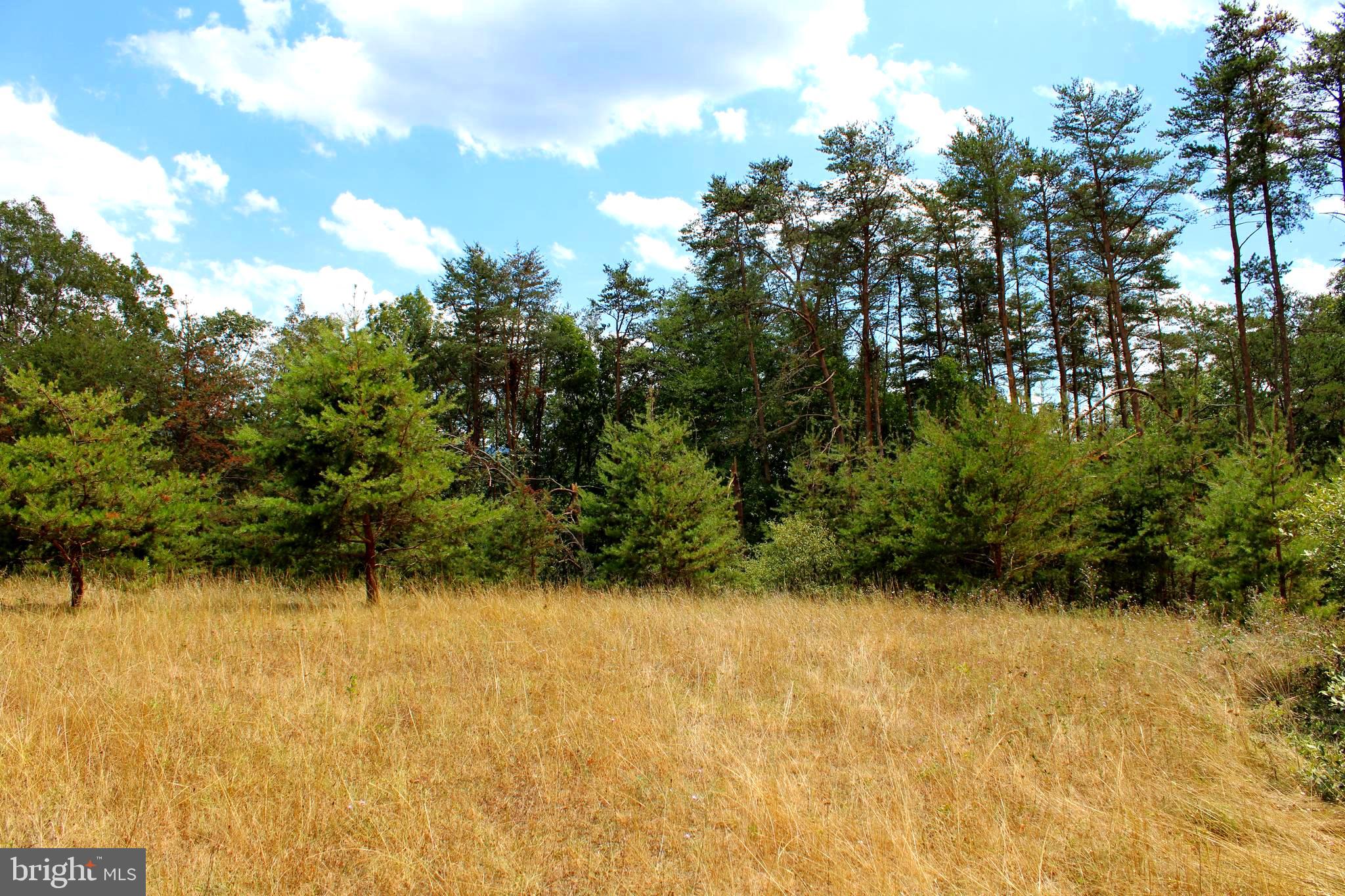 MEDALLION ESTATES - Land