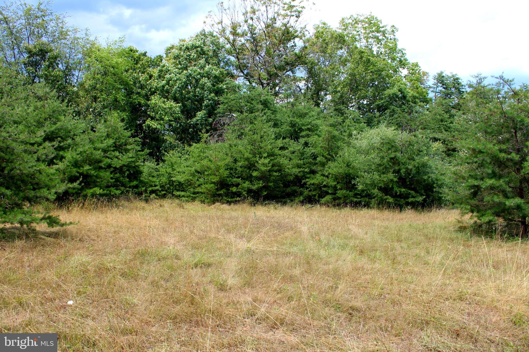 MEDALLION ESTATES - Land