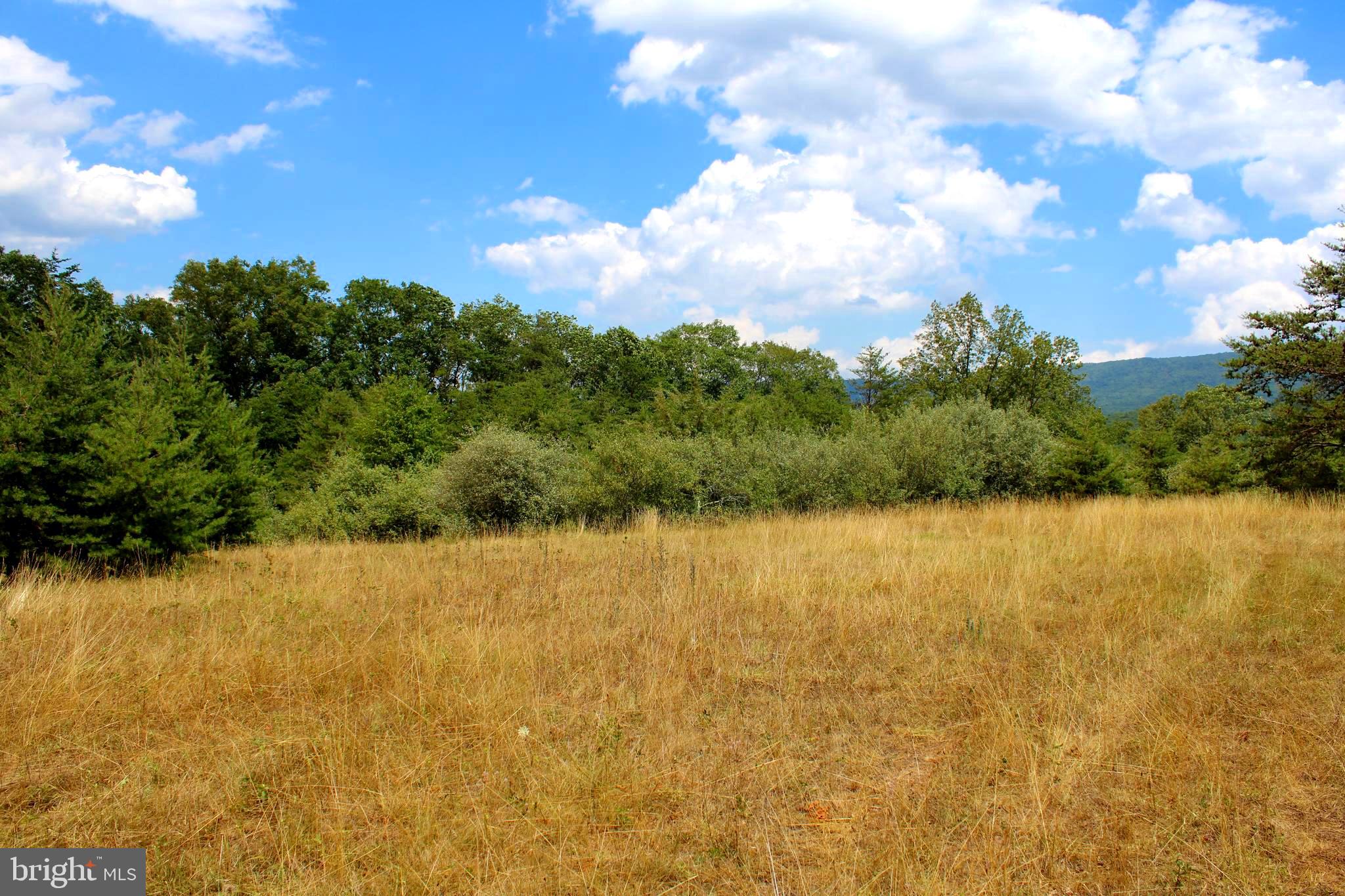 MEDALLION ESTATES - Land