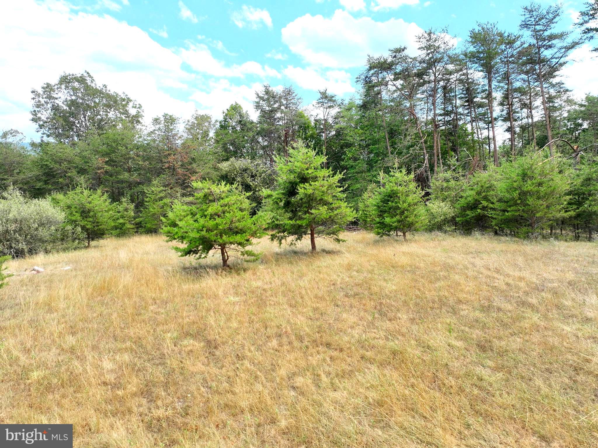 MEDALLION ESTATES - Land