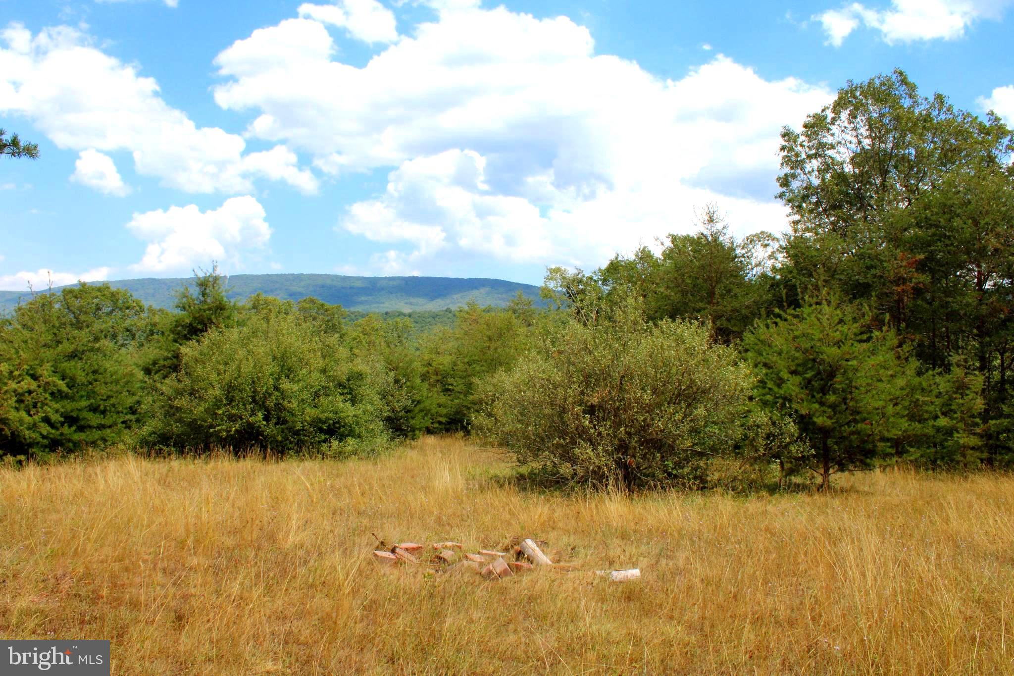 MEDALLION ESTATES - Land