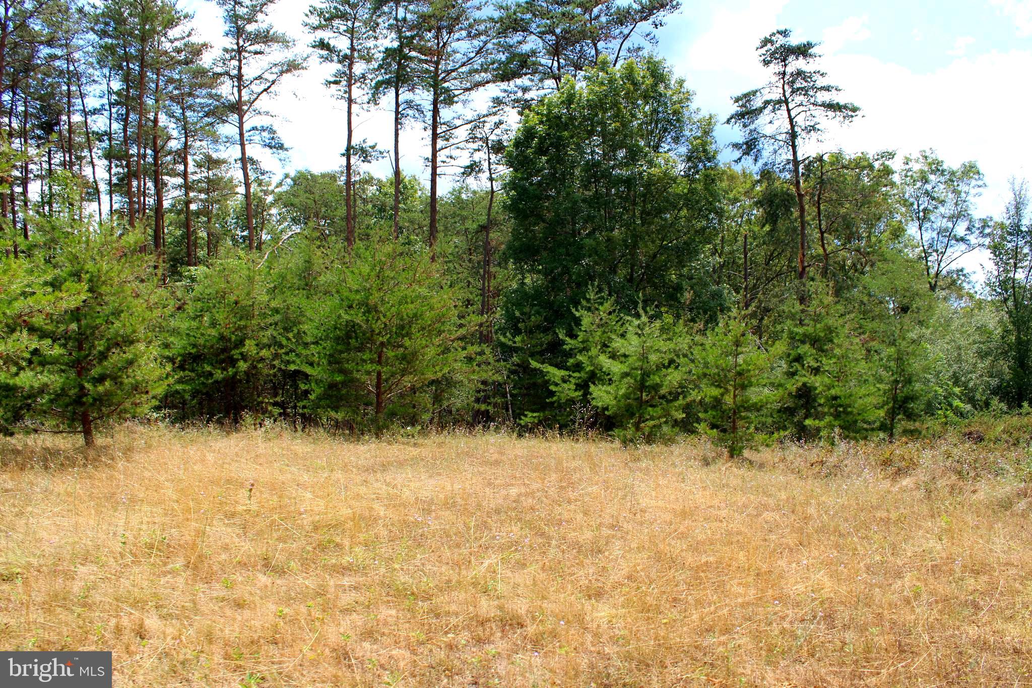 MEDALLION ESTATES - Land