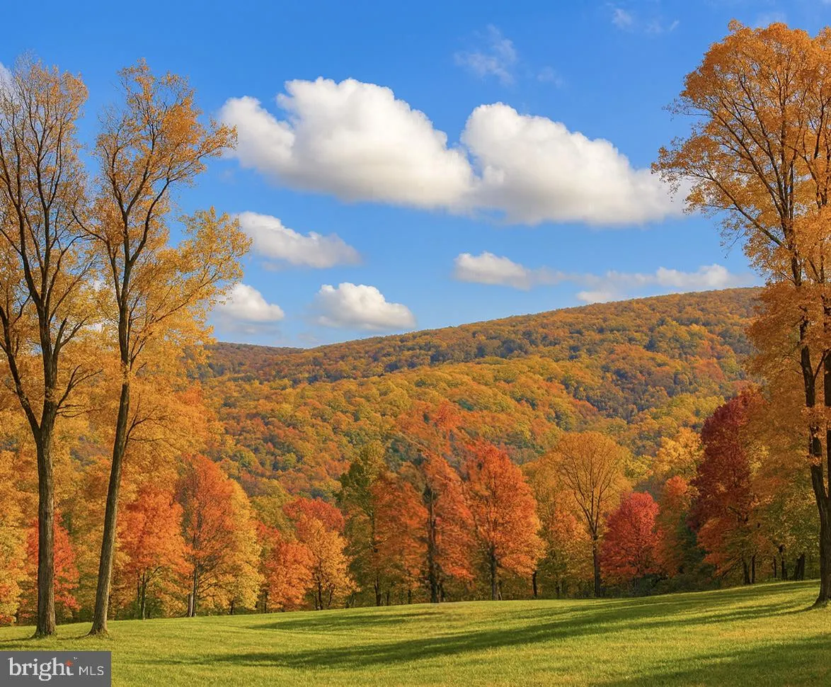 Winchester Va Sherando Park Mountain Bike Trails Lee Drive, Linden