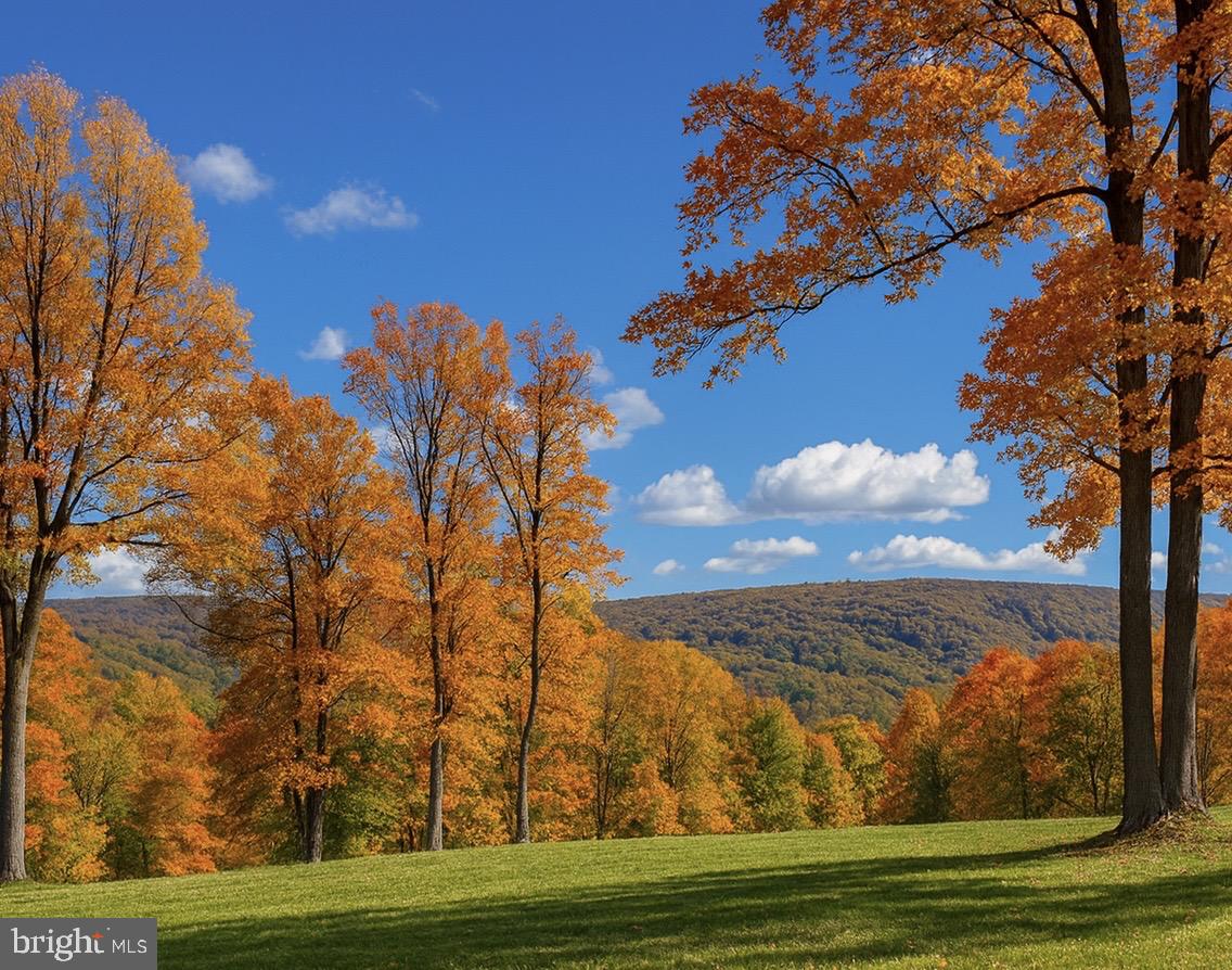 SHENANDOAH FARMS - Residential