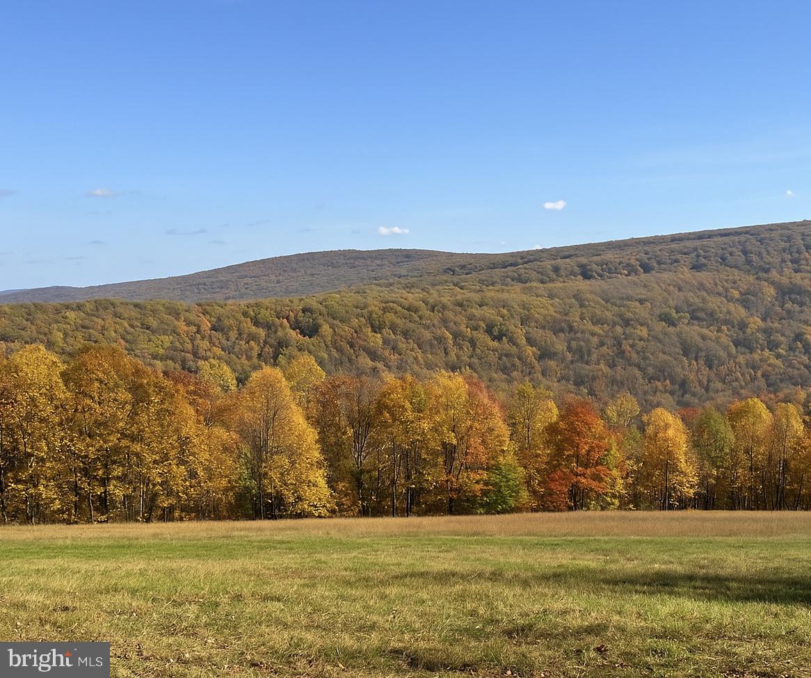 SHENANDOAH FARMS - Residential
