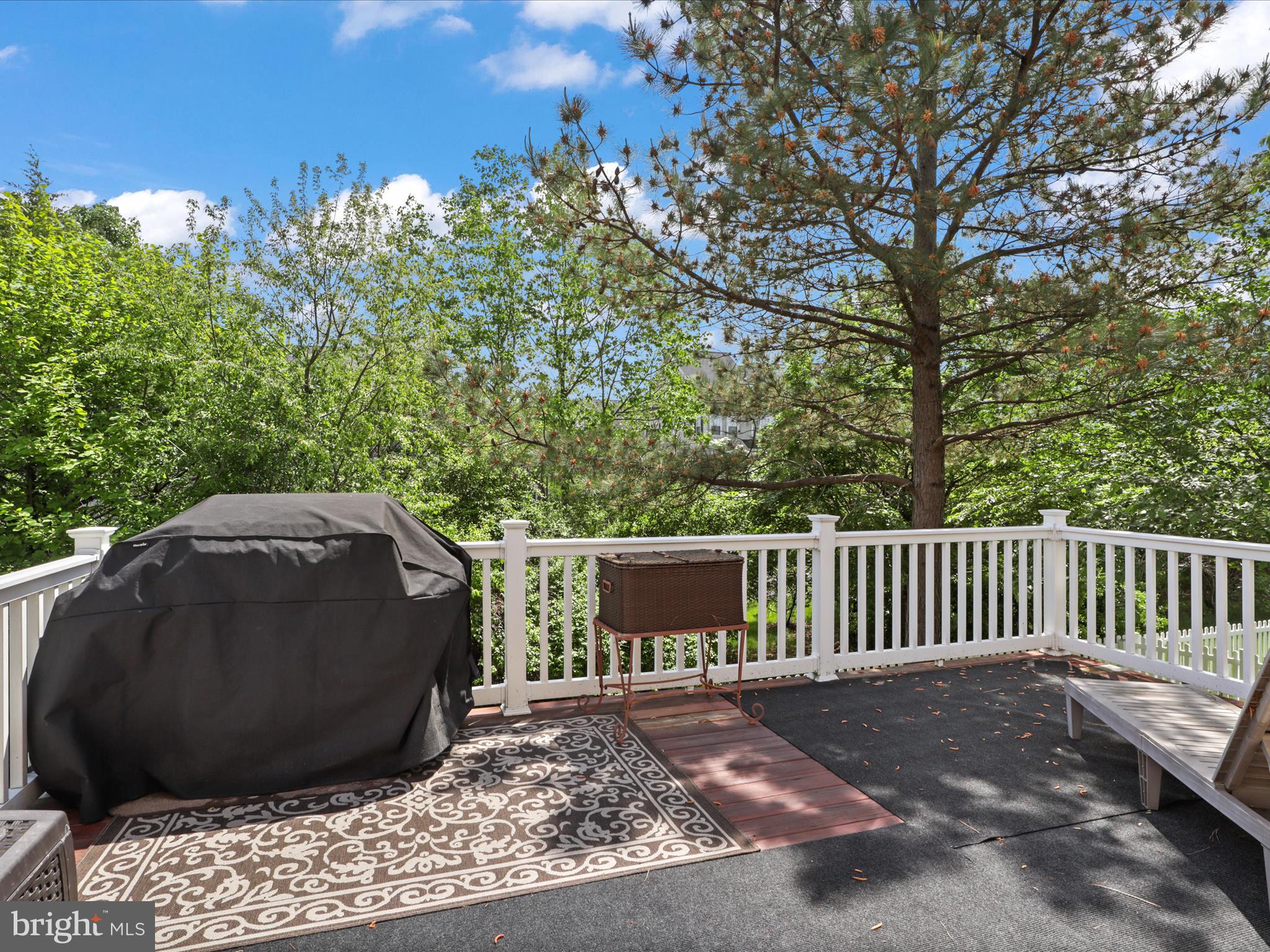 NEW BRISTOW VILLAGE - Residential