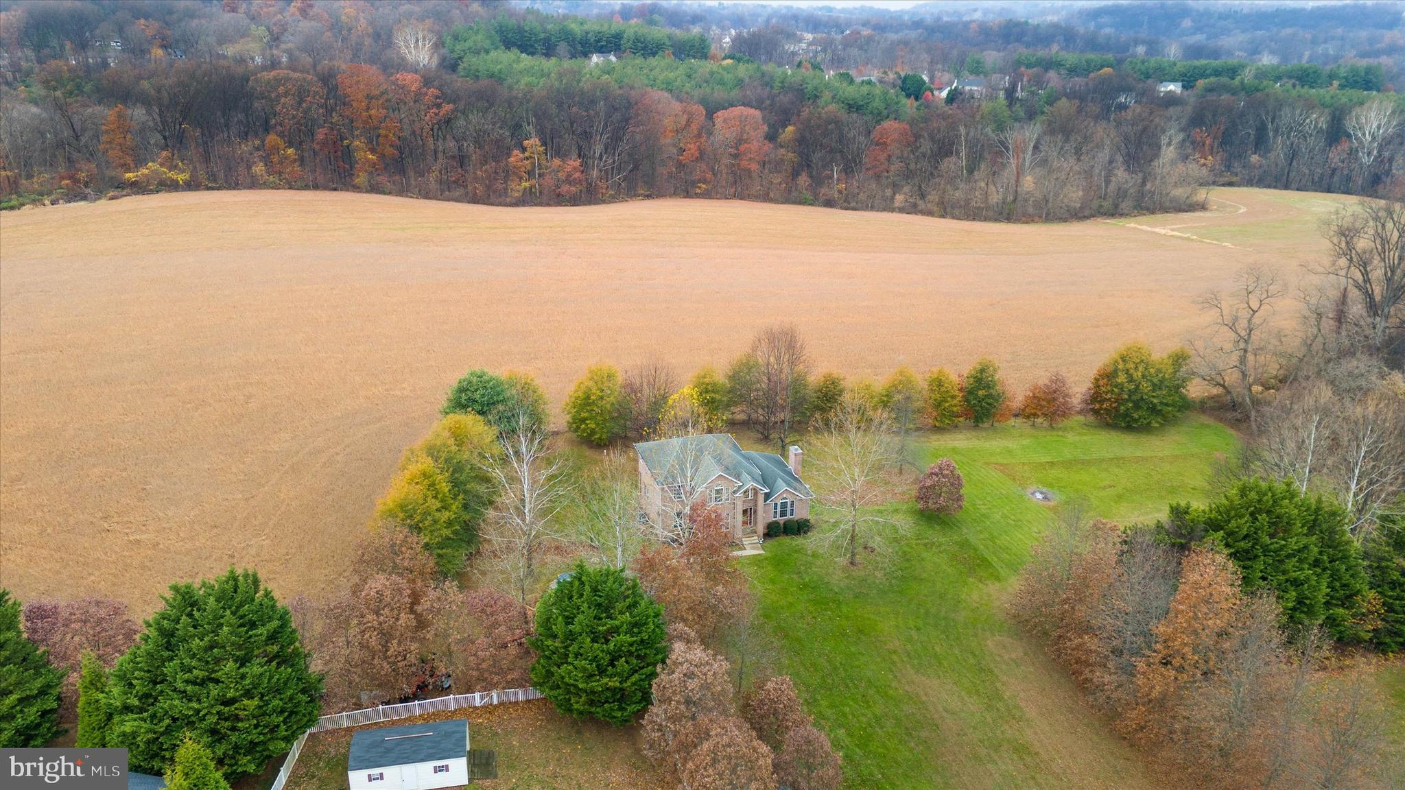 MONTGOMERY'S FRIENDSHIP - Farm