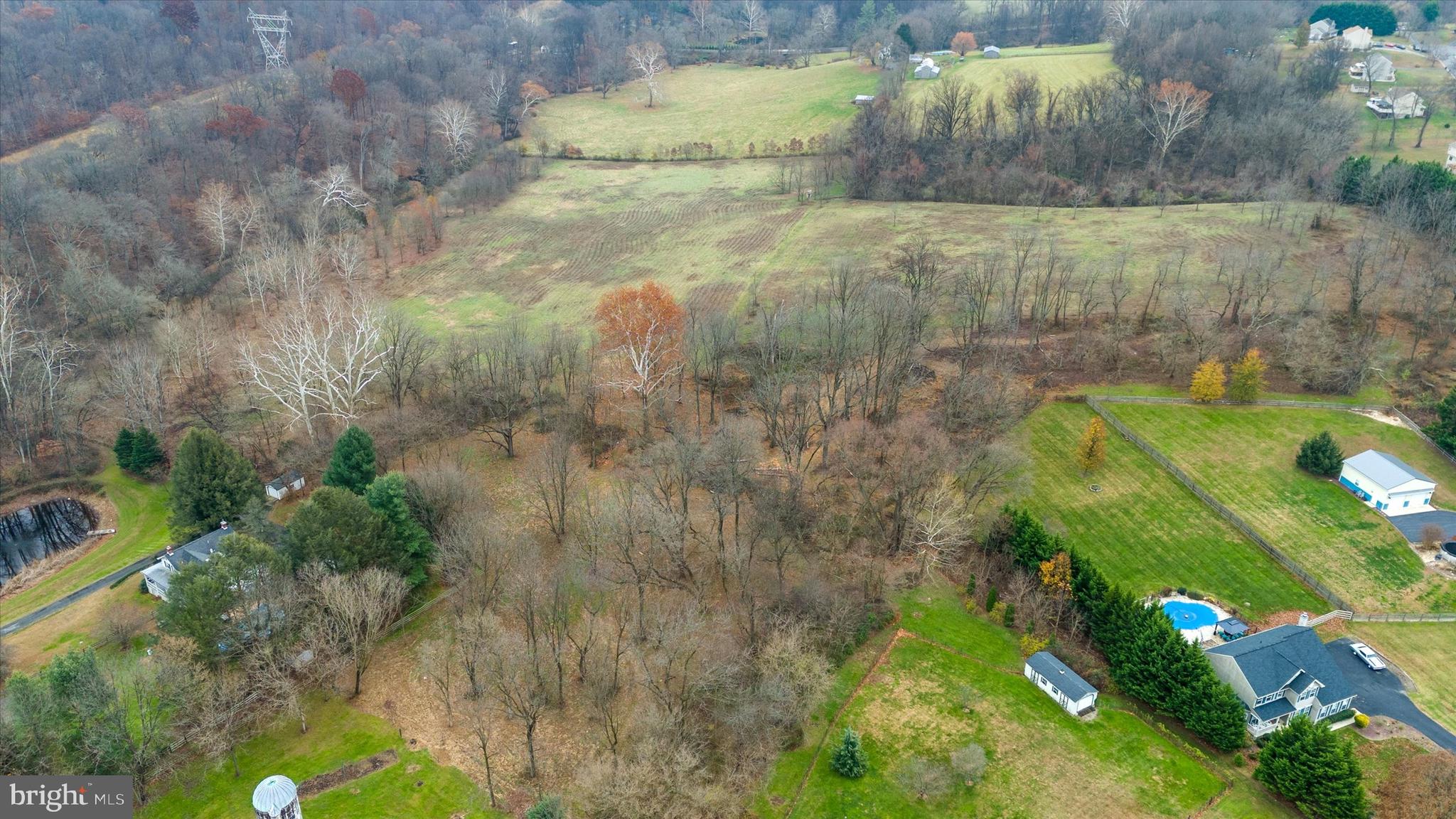 MONTGOMERY'S FRIENDSHIP - Farm