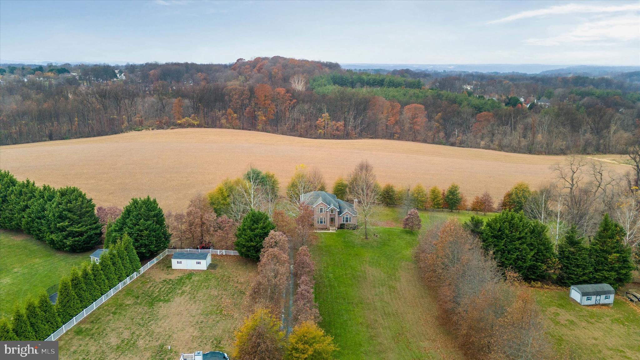 MONTGOMERY'S FRIENDSHIP - Farm