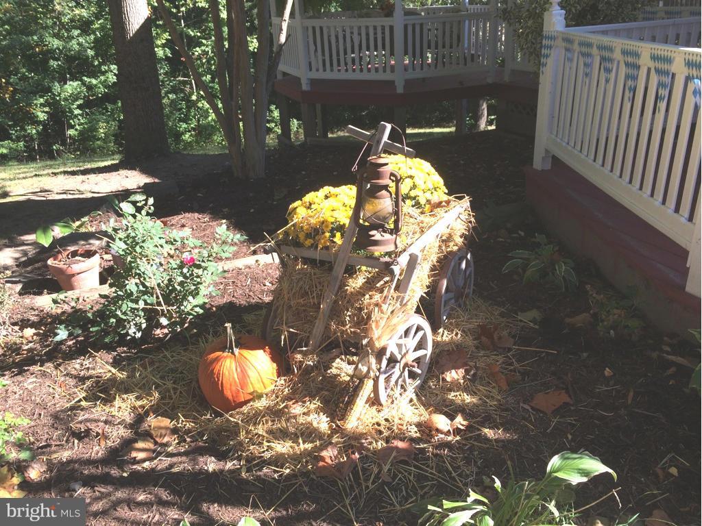 BUTTERFIELD - Residential Lease