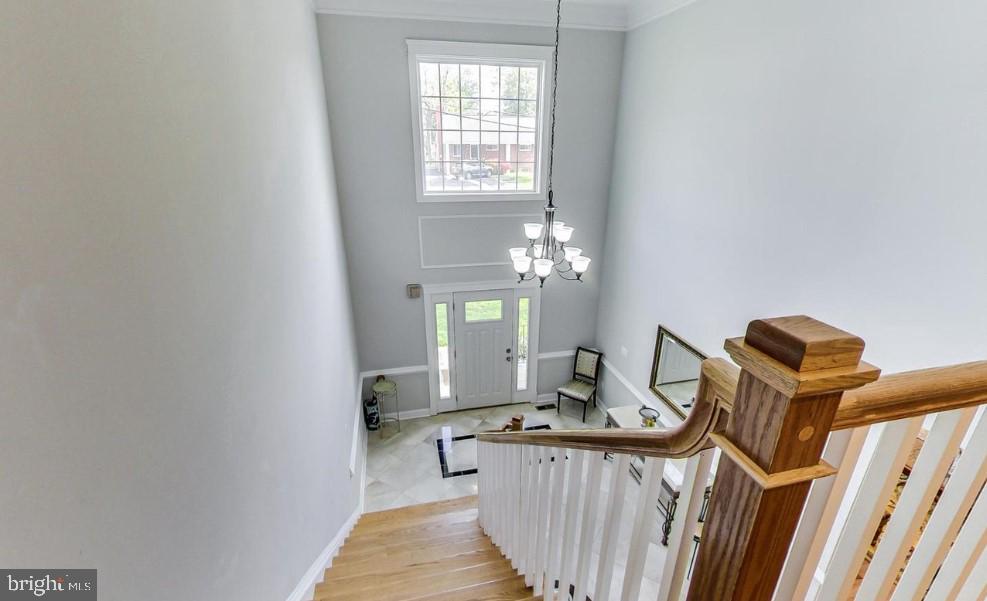 ANNANDALE - Residential Lease