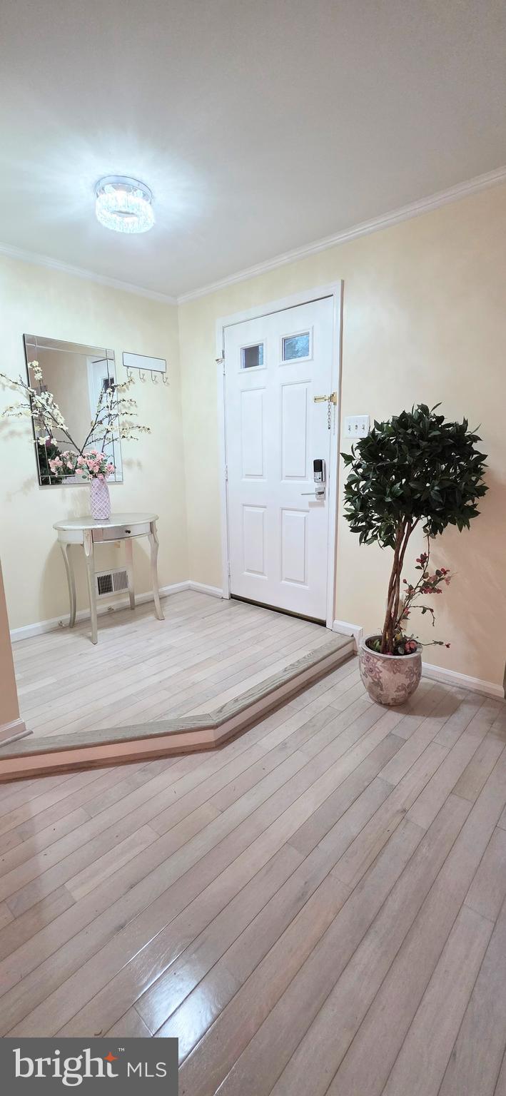 8434 SPRINGFIELD OAKS DRIVE