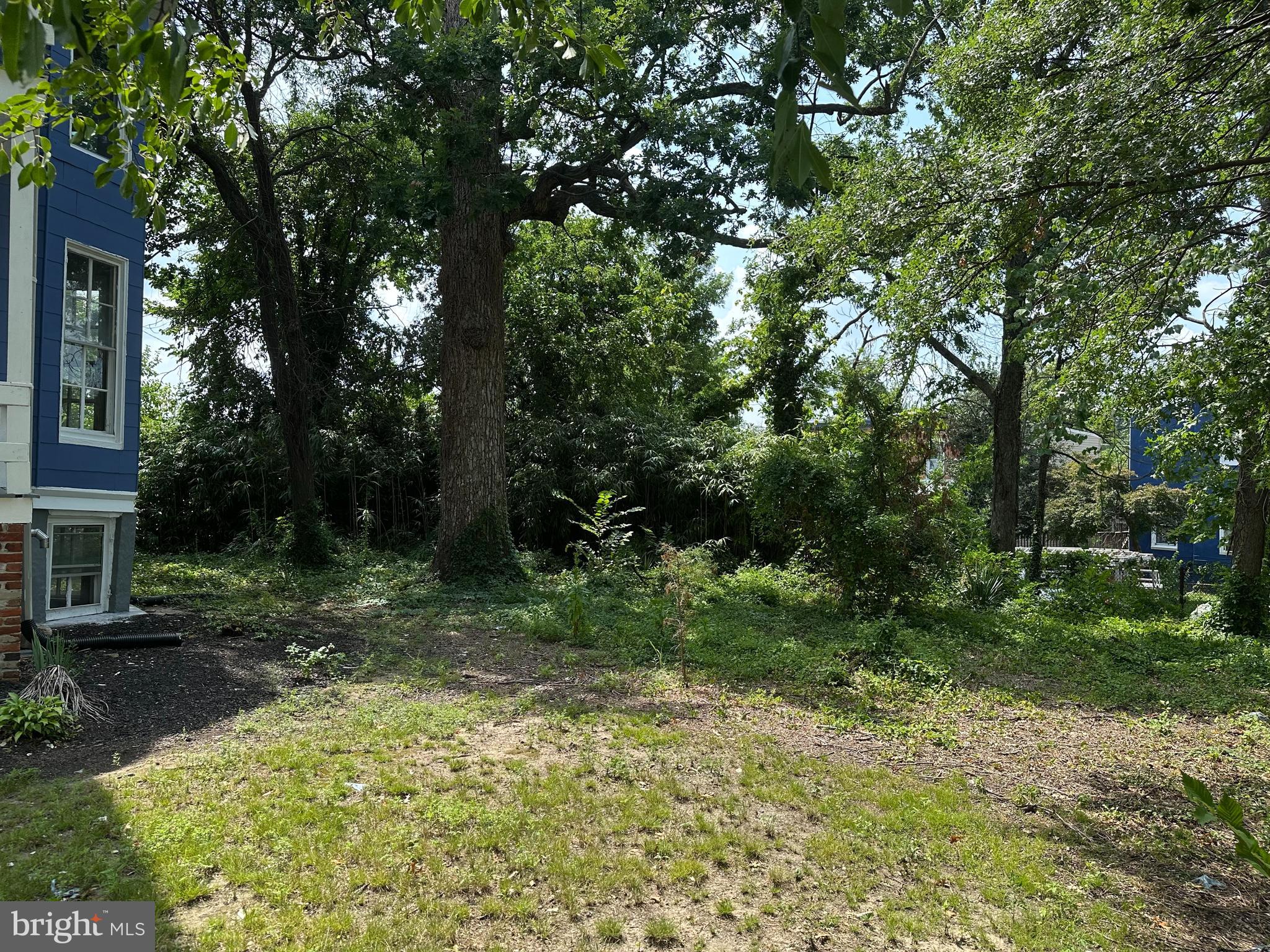 BETTER WAVERLY HISTORIC DISTRICT - Residential