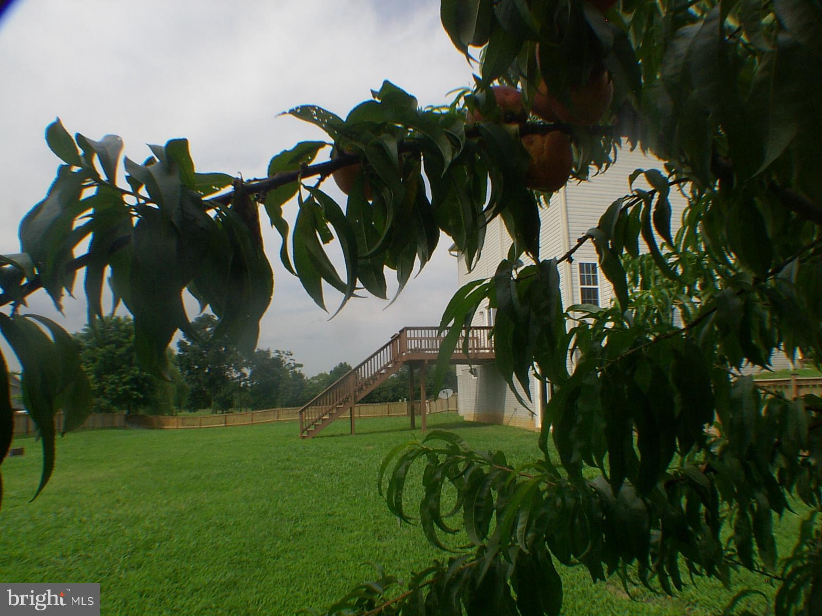 APPLE KNOLLS ESTATES - Residential