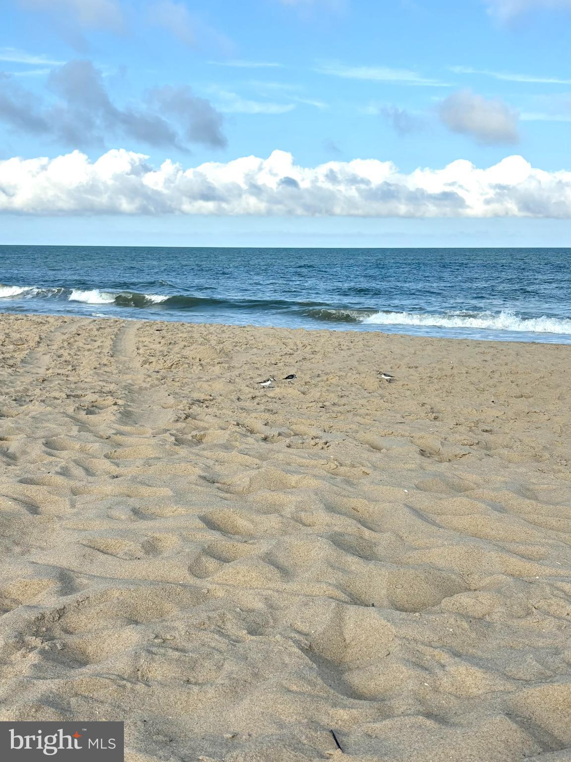 OCEAN PINES - SHERWOOD FOREST - Residential