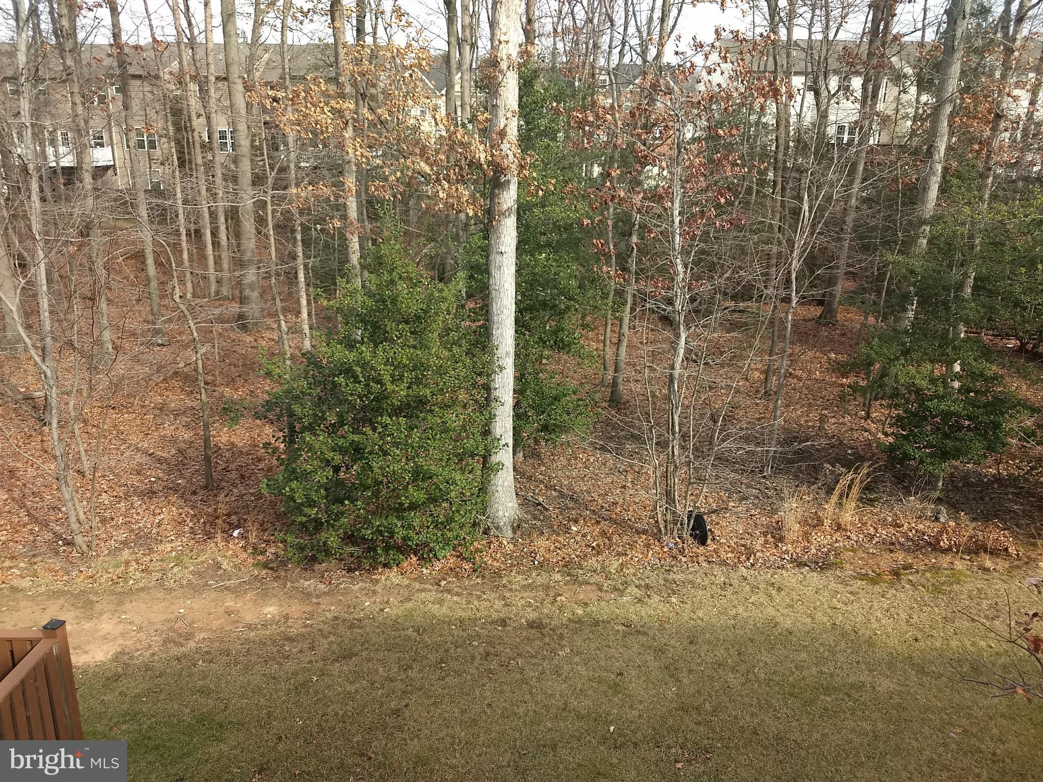 TANYARD SPRINGS - Residential Lease