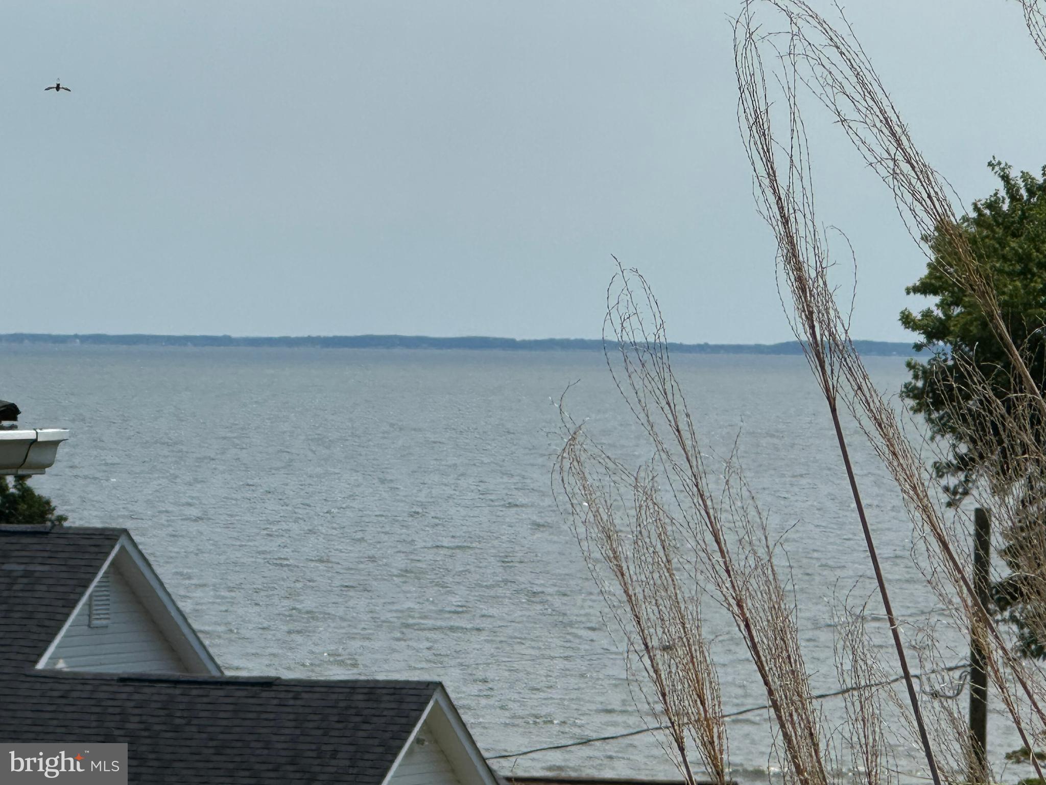 WILLOWS COLONY - Residential