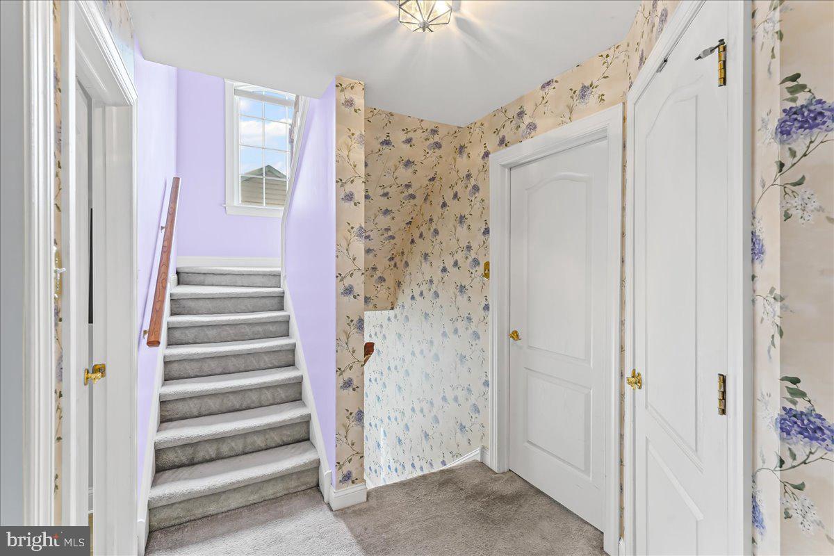 LONGWOOD VILLAGE - Residential