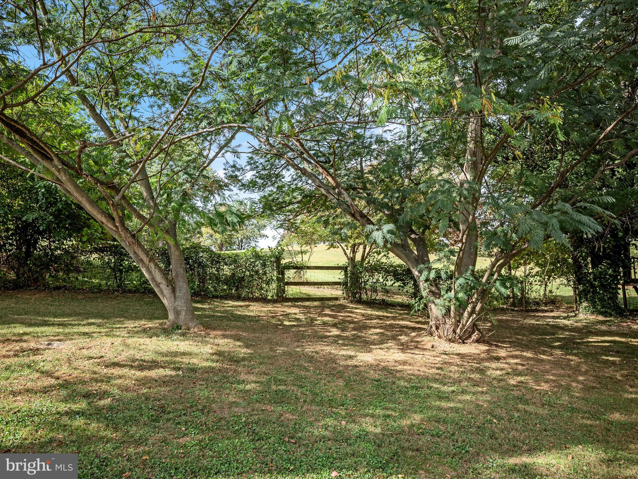 3187 BISHOP MEADE ROAD