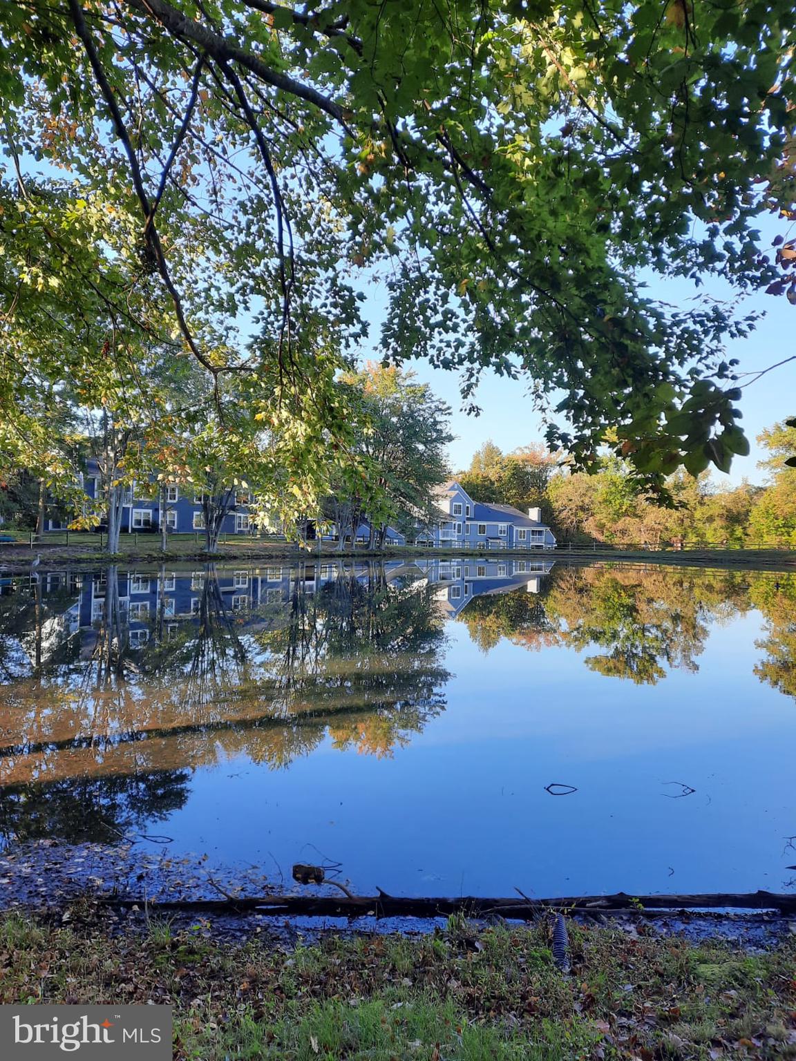 PONDS AT CENTREVILLE - Residential