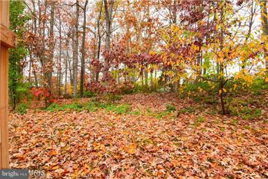 BAY RIDGE ESTATES - Residential Lease