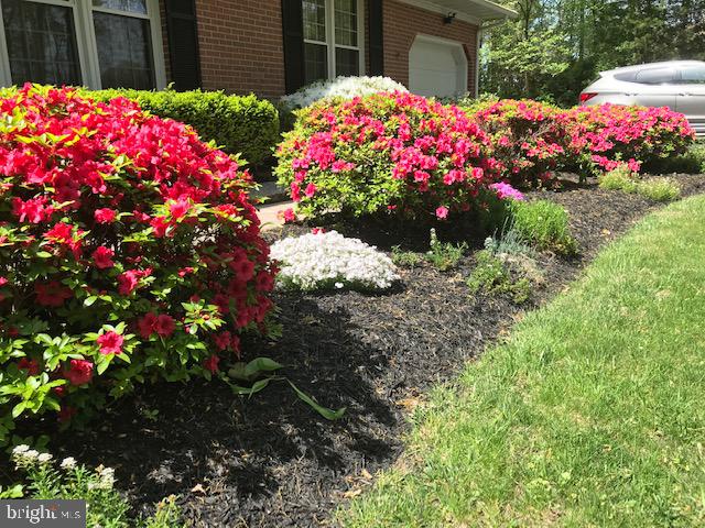 SUTTON MANOR - Residential